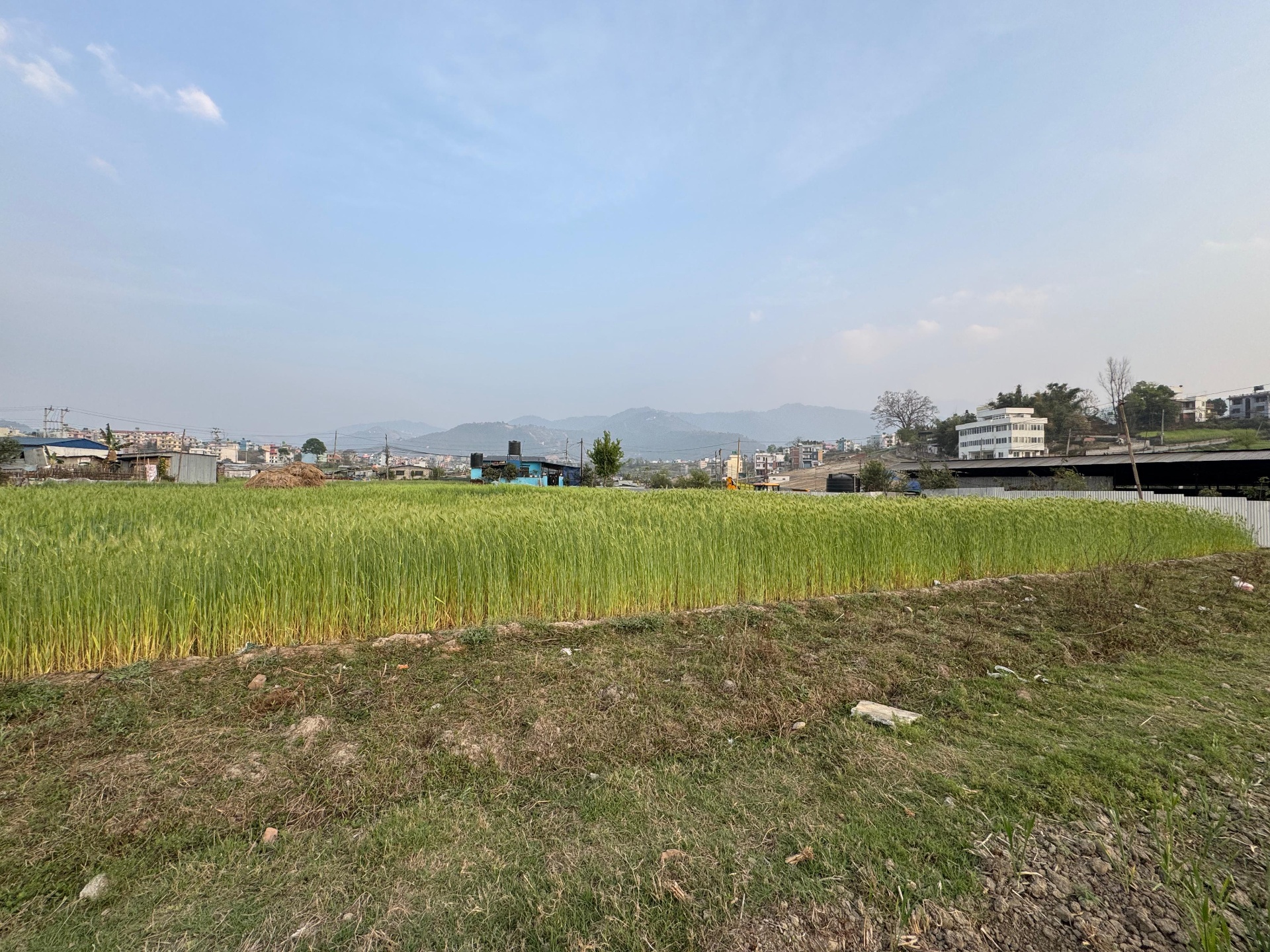 #SS1304 Semi-commericial Land on sell at Chitrapur, Suryabinayak