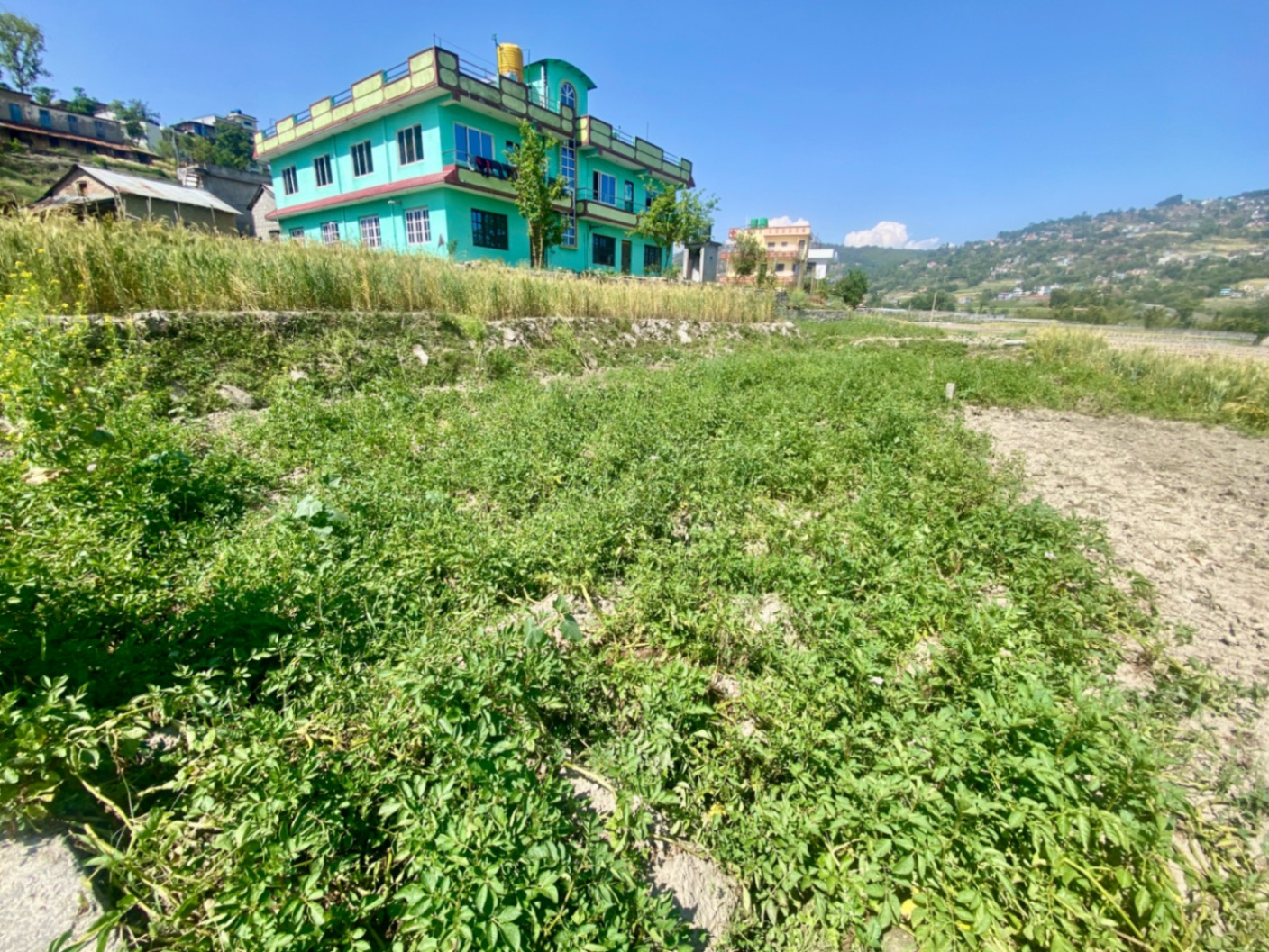 #SS1490 Residential Land on sell at Bageshowri, Changunarayan