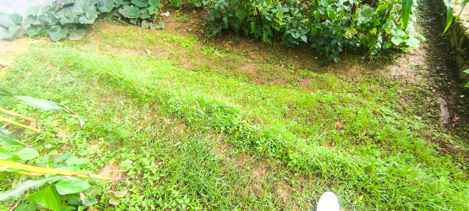 #SS2412 Residential Land on sell at Sunakothi, Lalitpur