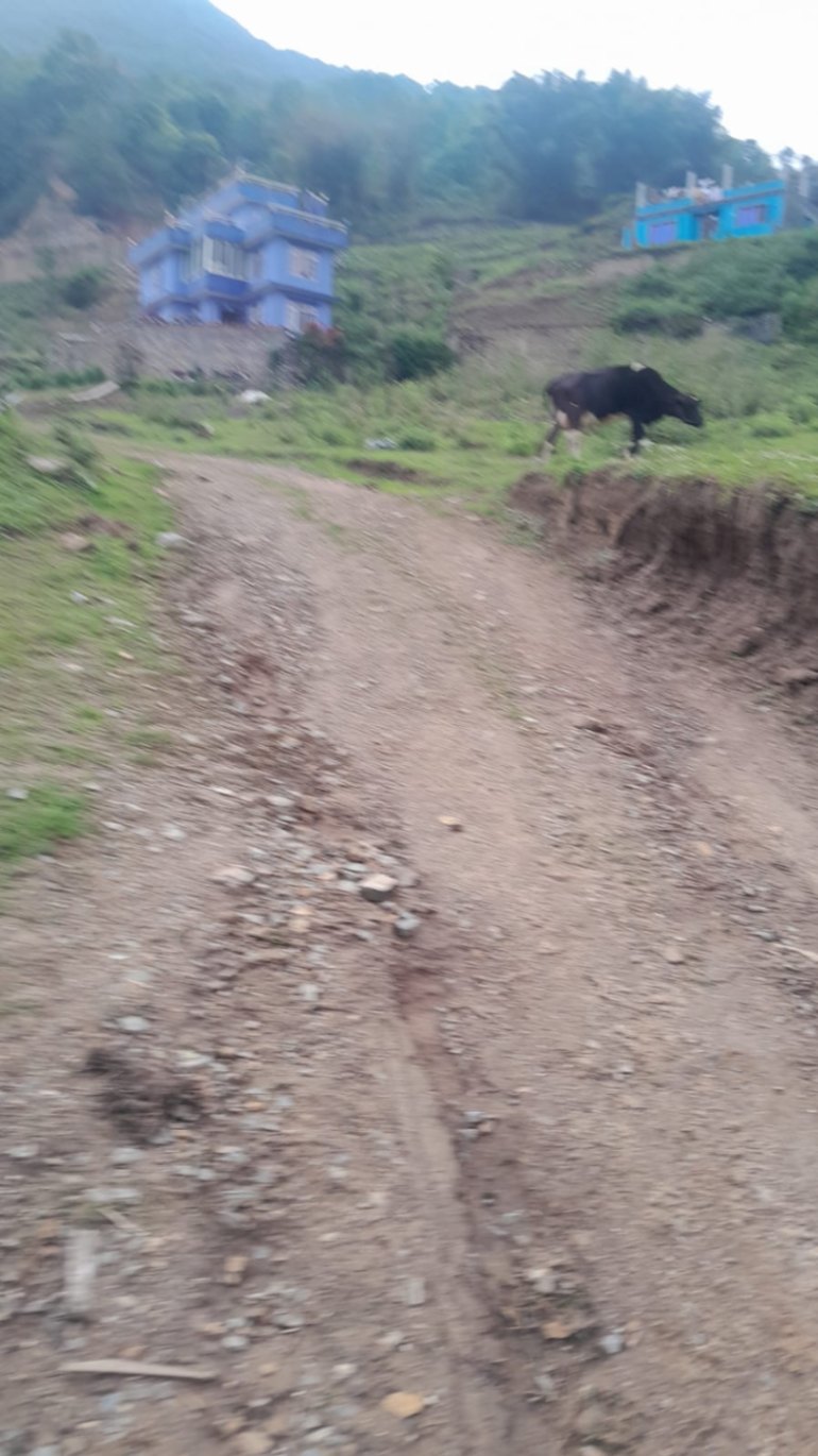 #SS1655 Plotting Land on sell at Taudaha, Kirtipur