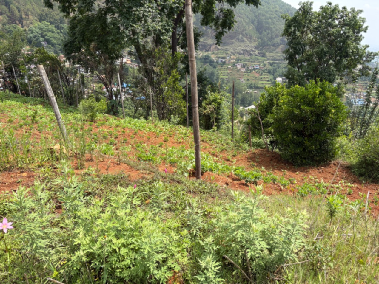 #SS2060 Commercial Land on sell at Bhanjang , Dakshinkali