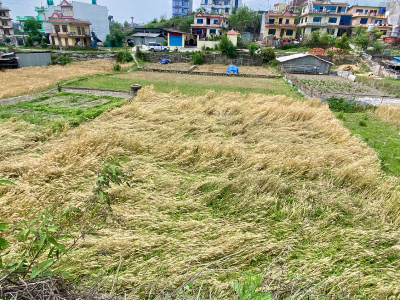 #SS1689 Commercial Land on sell at , Changunarayan