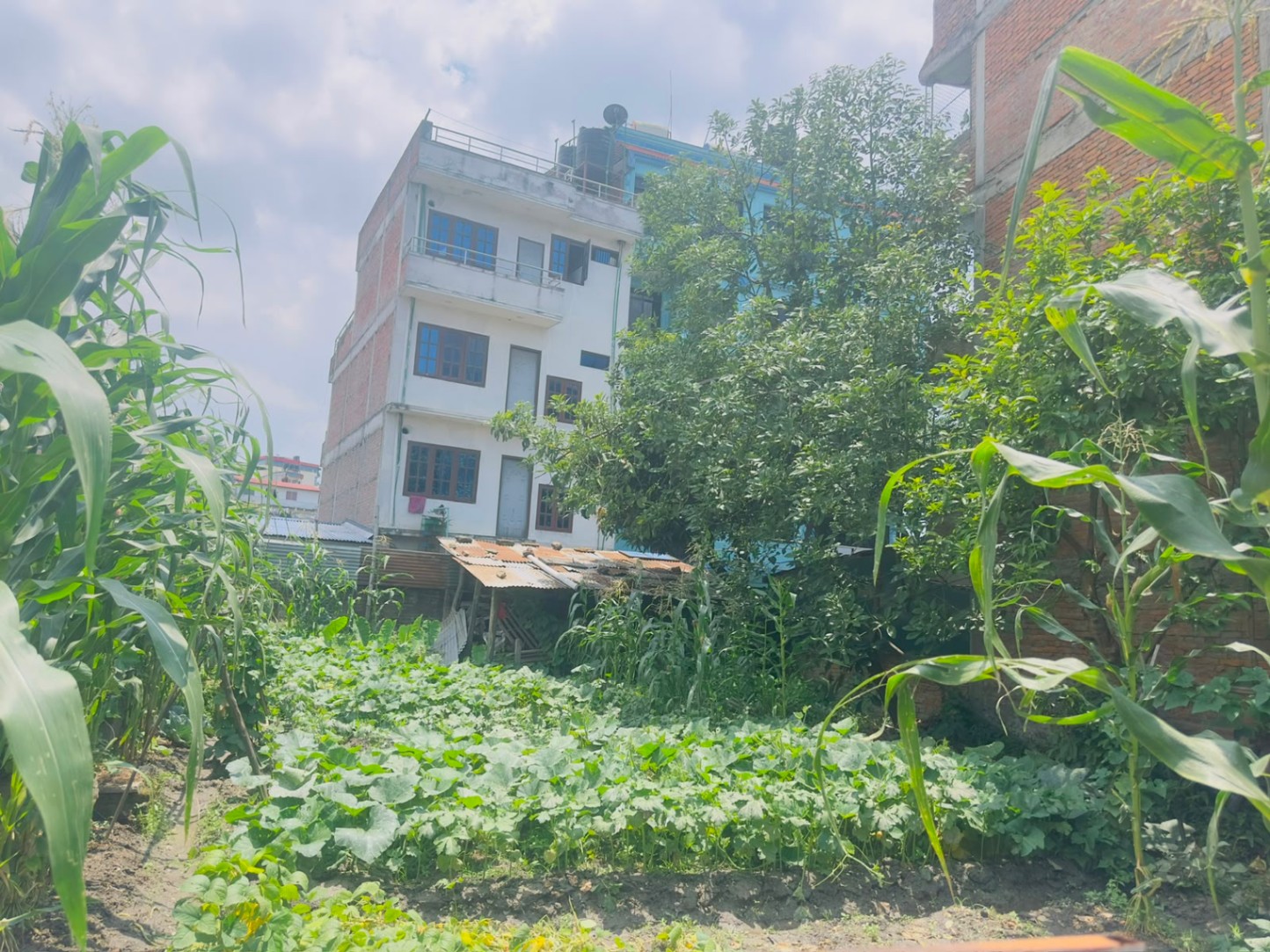 #SS1960 Residential Land on sell at Nayabazar , Kathmandu