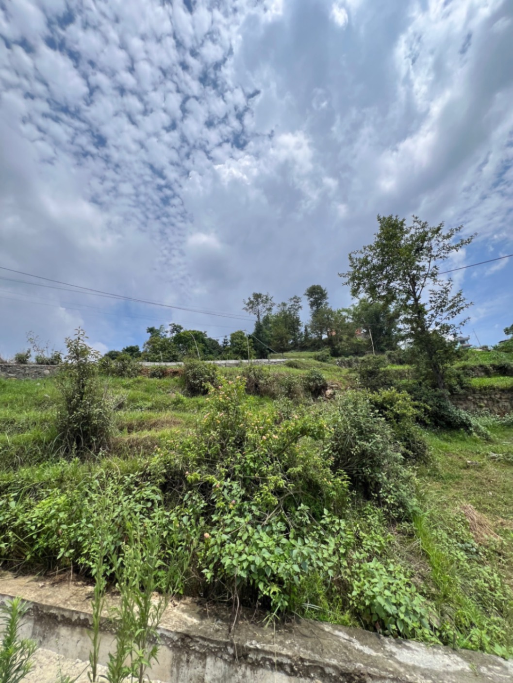 #SS1883 Residential Land on sell at nag daha dhapakhel, Lalitpur