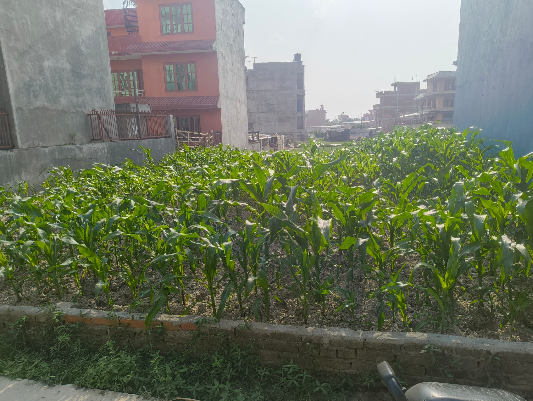 #SS1830 Residential Land on sell at Gothatar, Kageshwari-Manohara
