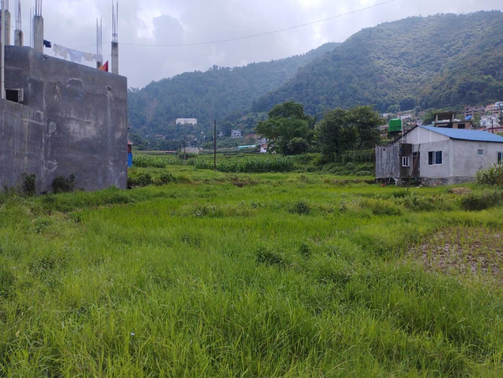 #SS2298 Residential Land on sell at Bistachhap, Godawari