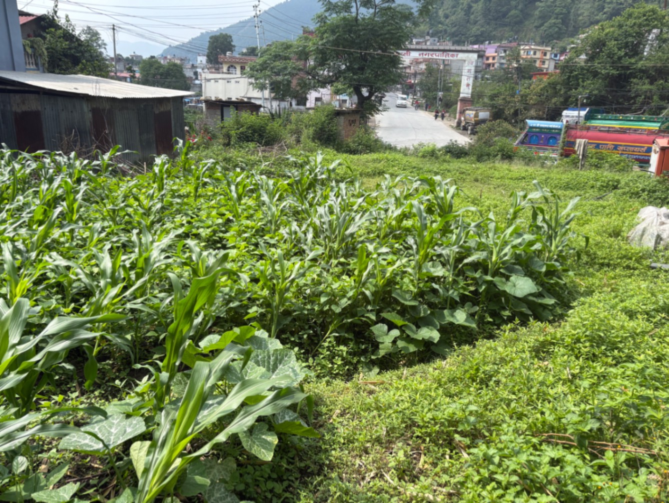 #SS1843 Commercial Land on sell at Taudaha, Kirtipur