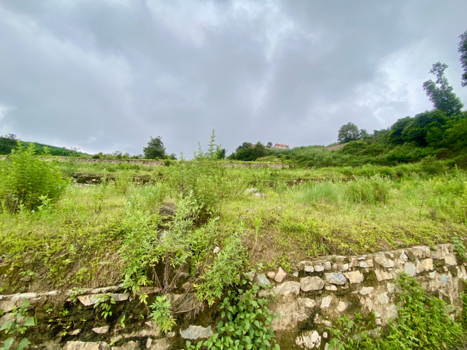 #SS2358 Plotting Land on sell at Sudal, Changunarayan