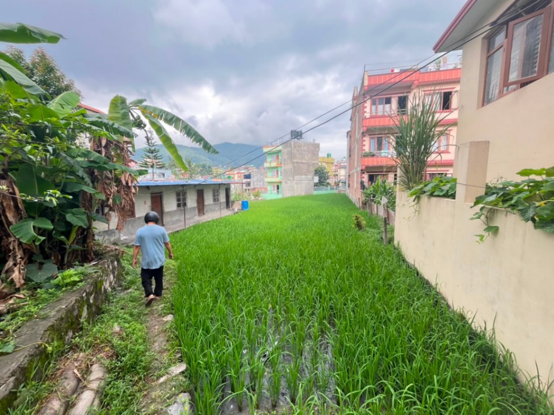 #SS2246 Semi-commericial Land on rent at mana maiju, Tarakeshwar