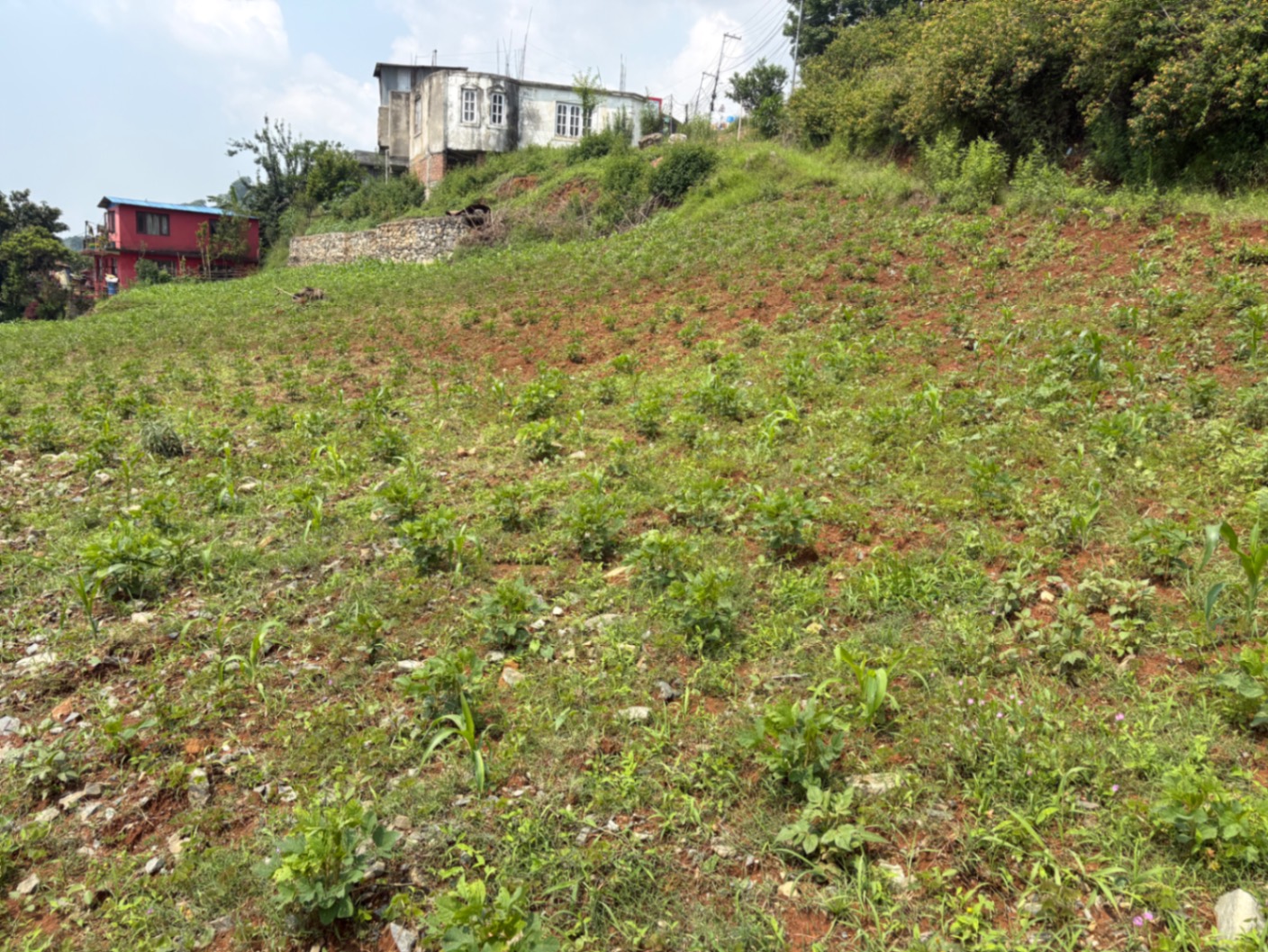 #SS2003 Commercial Land on sell at Bansbari, Dakshinkali