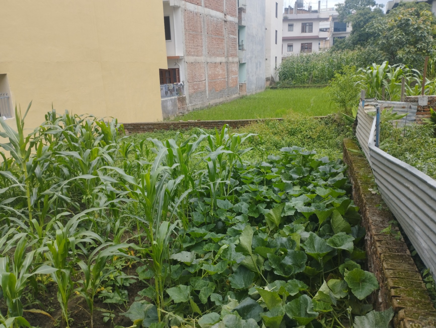 #SS2255 Residential Land on sell at Near school chowk , Mahalaxmi