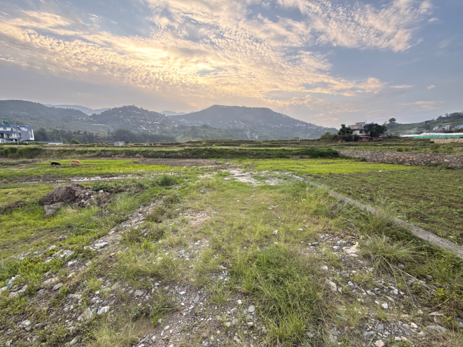 #SS2028 Plotting Land on sell at Farsidol, Lalitpur