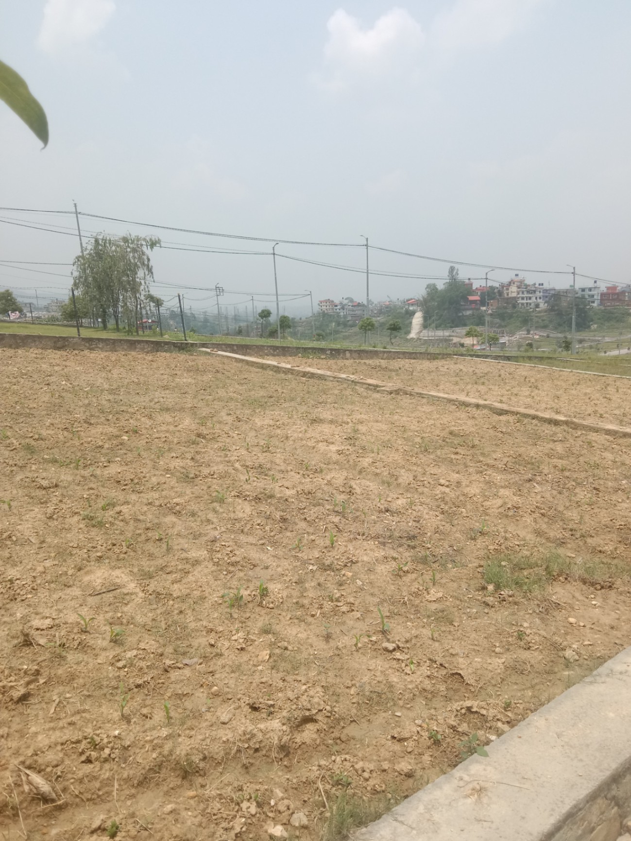 #SS1791 Residential Land on sell at Palase, Suryabinayak