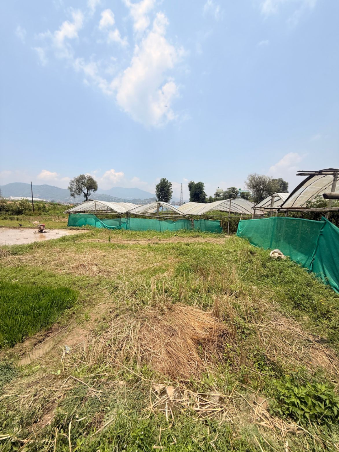 #SS2133 Residential Land on sell at Machhe Gaun, Chandragiri