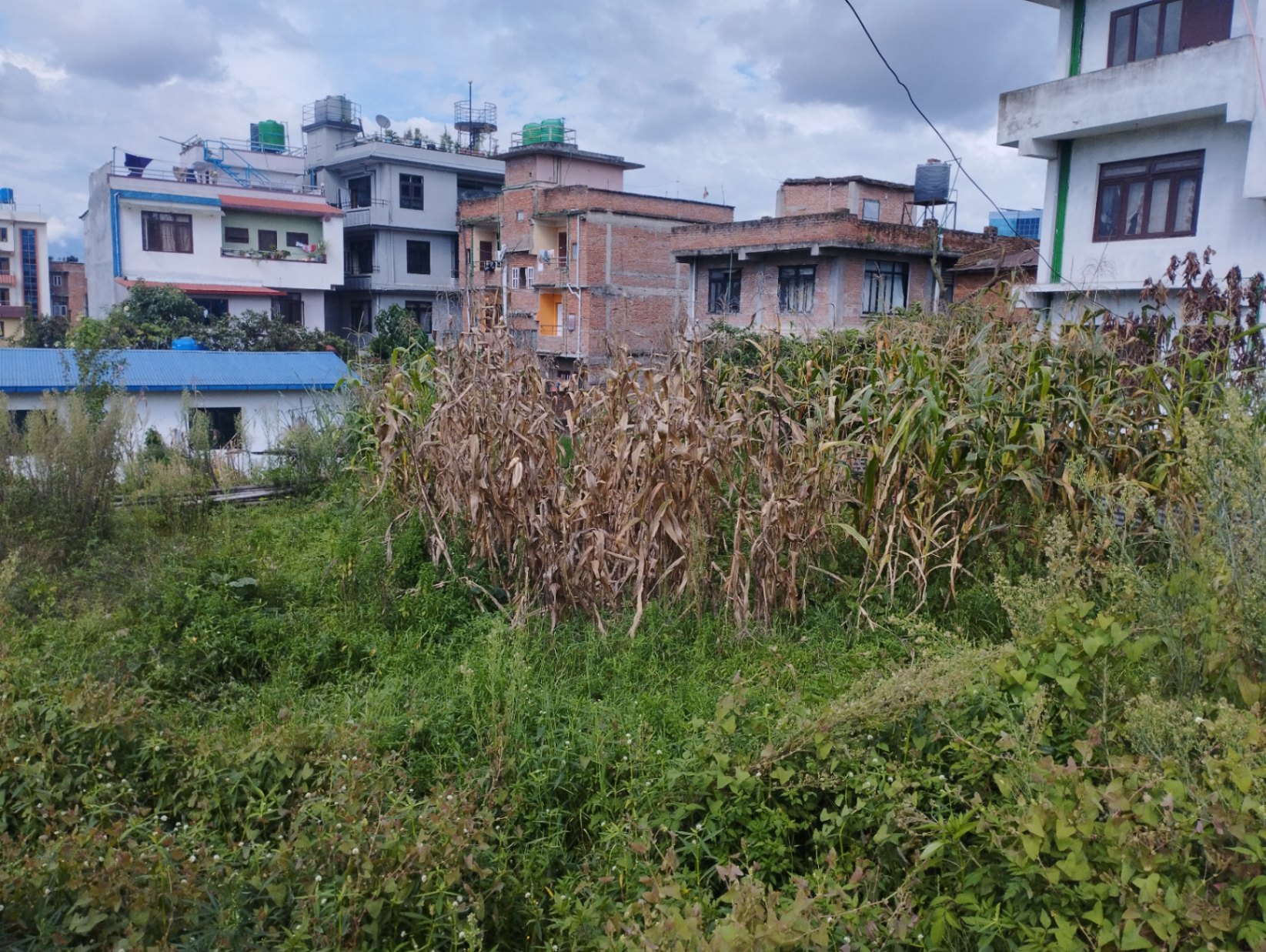 #SS2431 Residential Land on sell at Thasi colony , Mahalaxmi