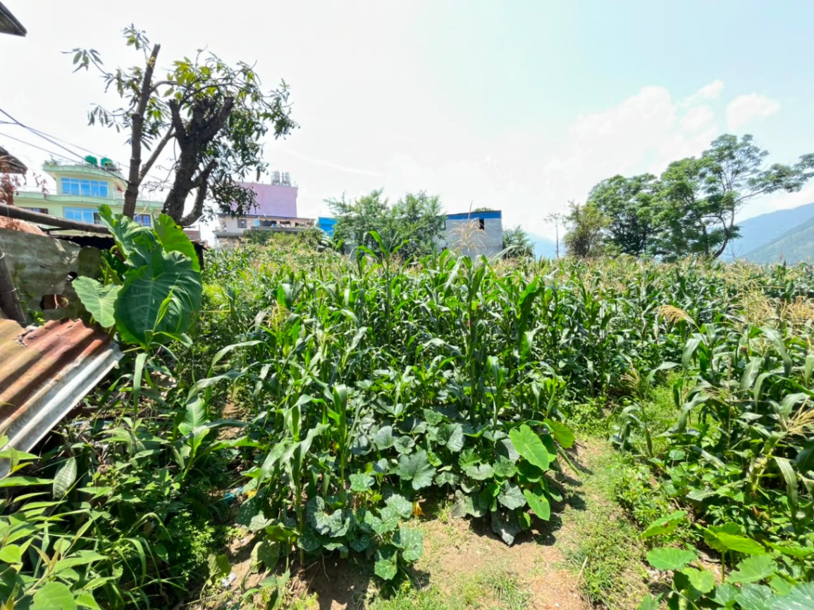 #SS2135 Residential Land on sell at Tokha Saraswati, Tokha