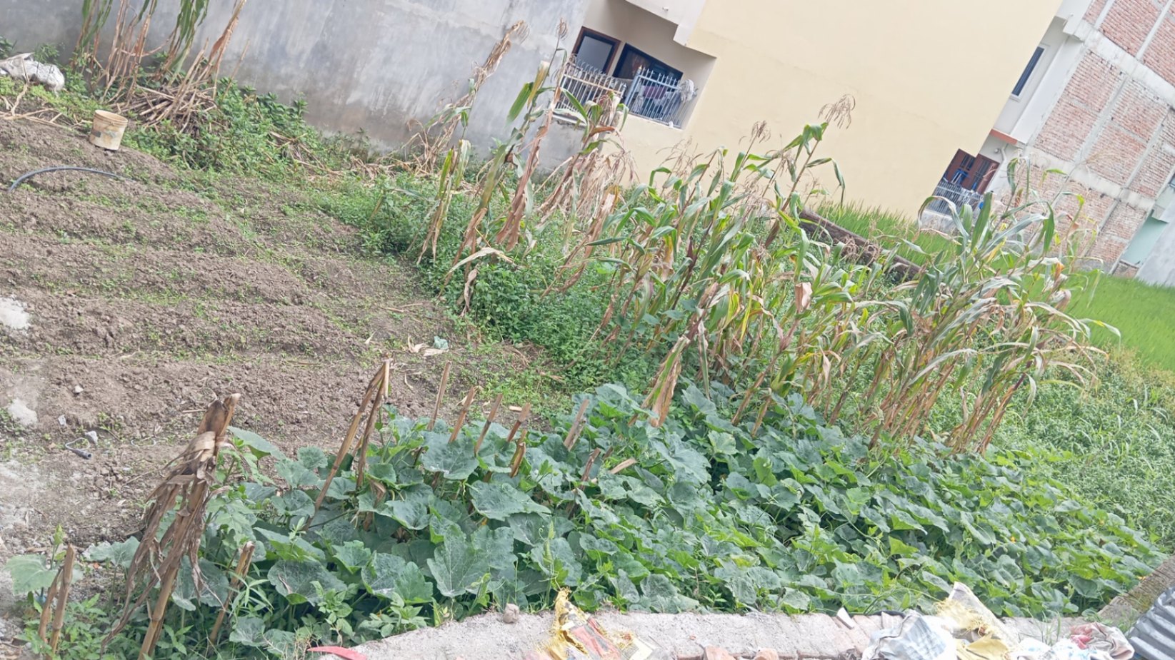 #SS2554 Residential Land on sell at Near school chowk , Mahalaxmi