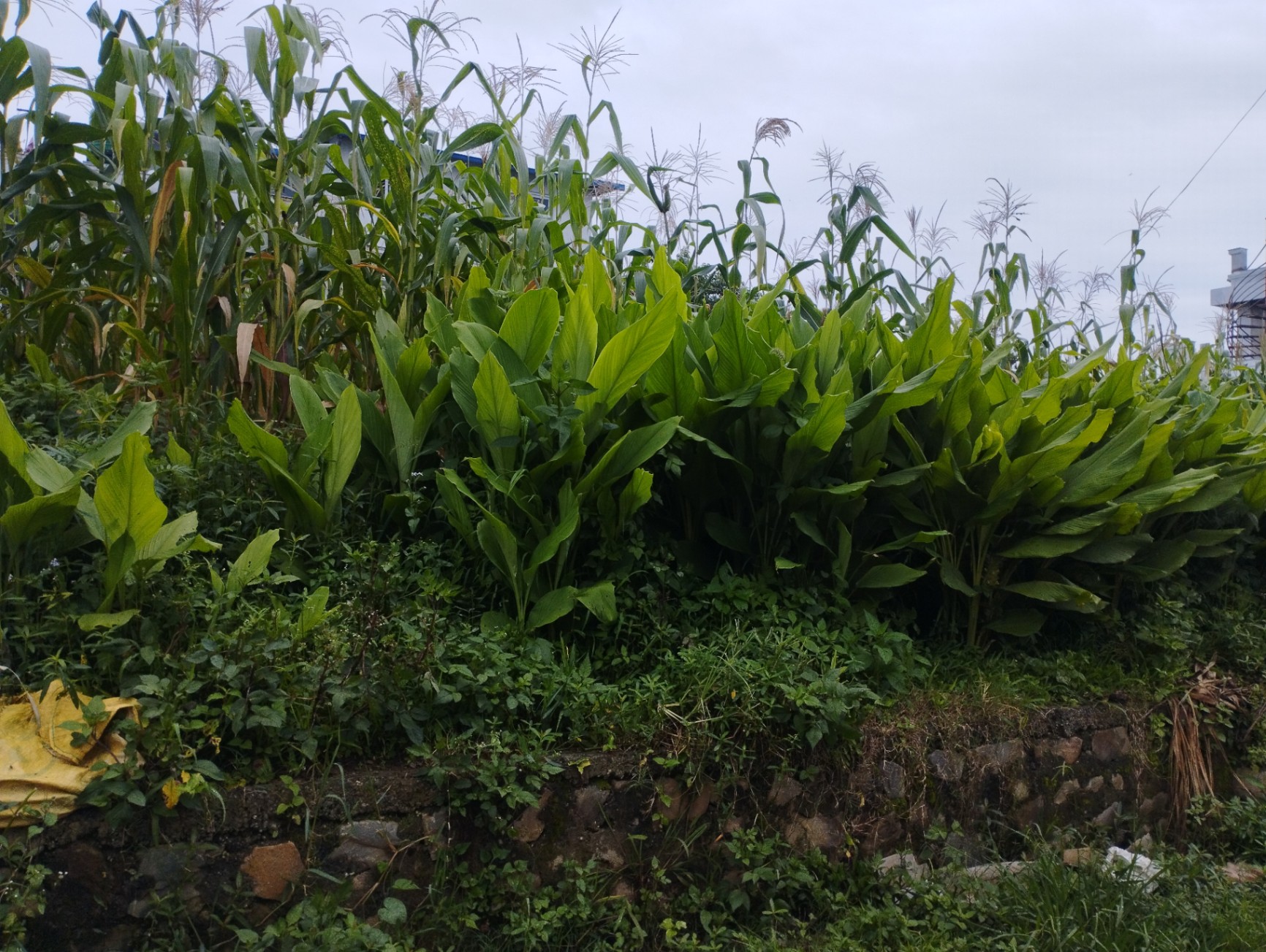 #SS2423 Residential Land on sell at Dhapakhel seto ganesh, Lalitpur