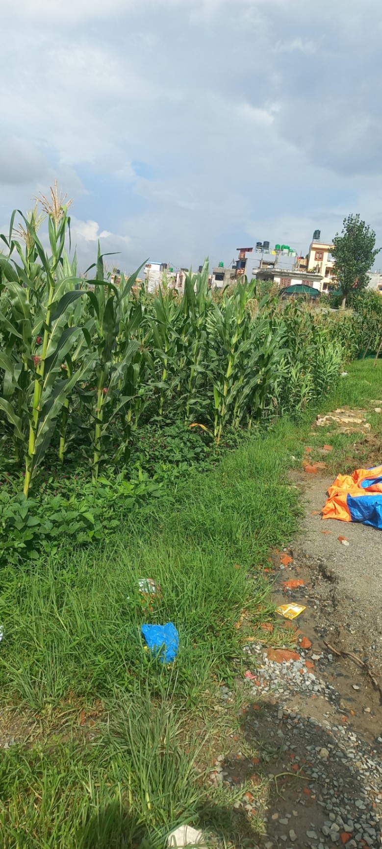 #SS2348 Residential Land on sell at Balambu, Chandragiri