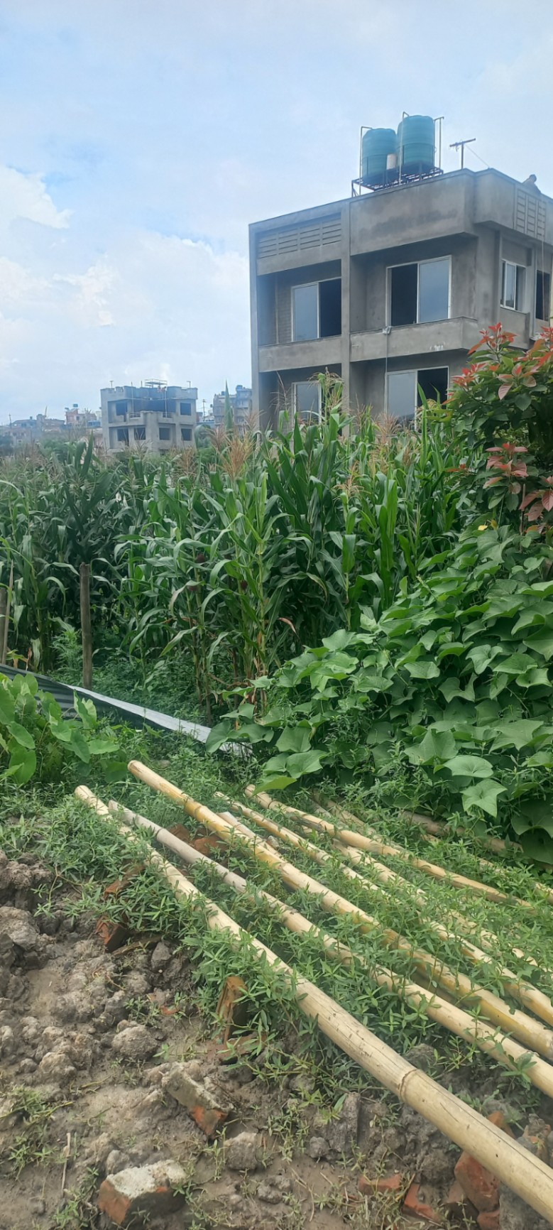 #SS2237 Residential Land on sell at Dhalpa Road, Kirtipur
