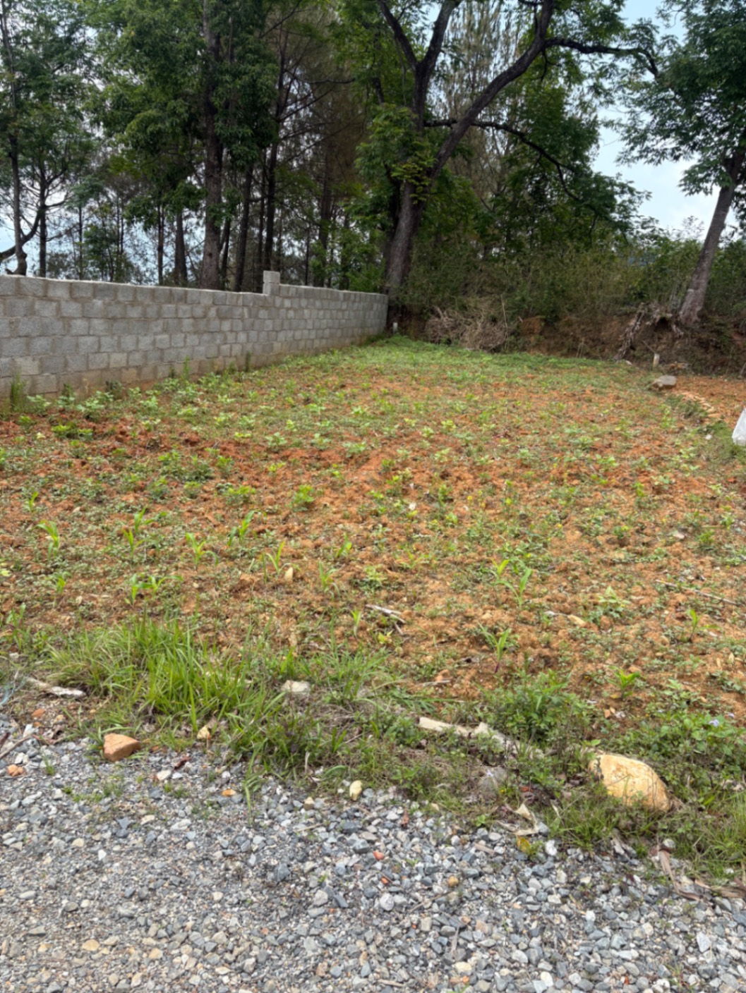 #SS1666 Commercial Land on sell at Dakshinkali, Dakshinkali