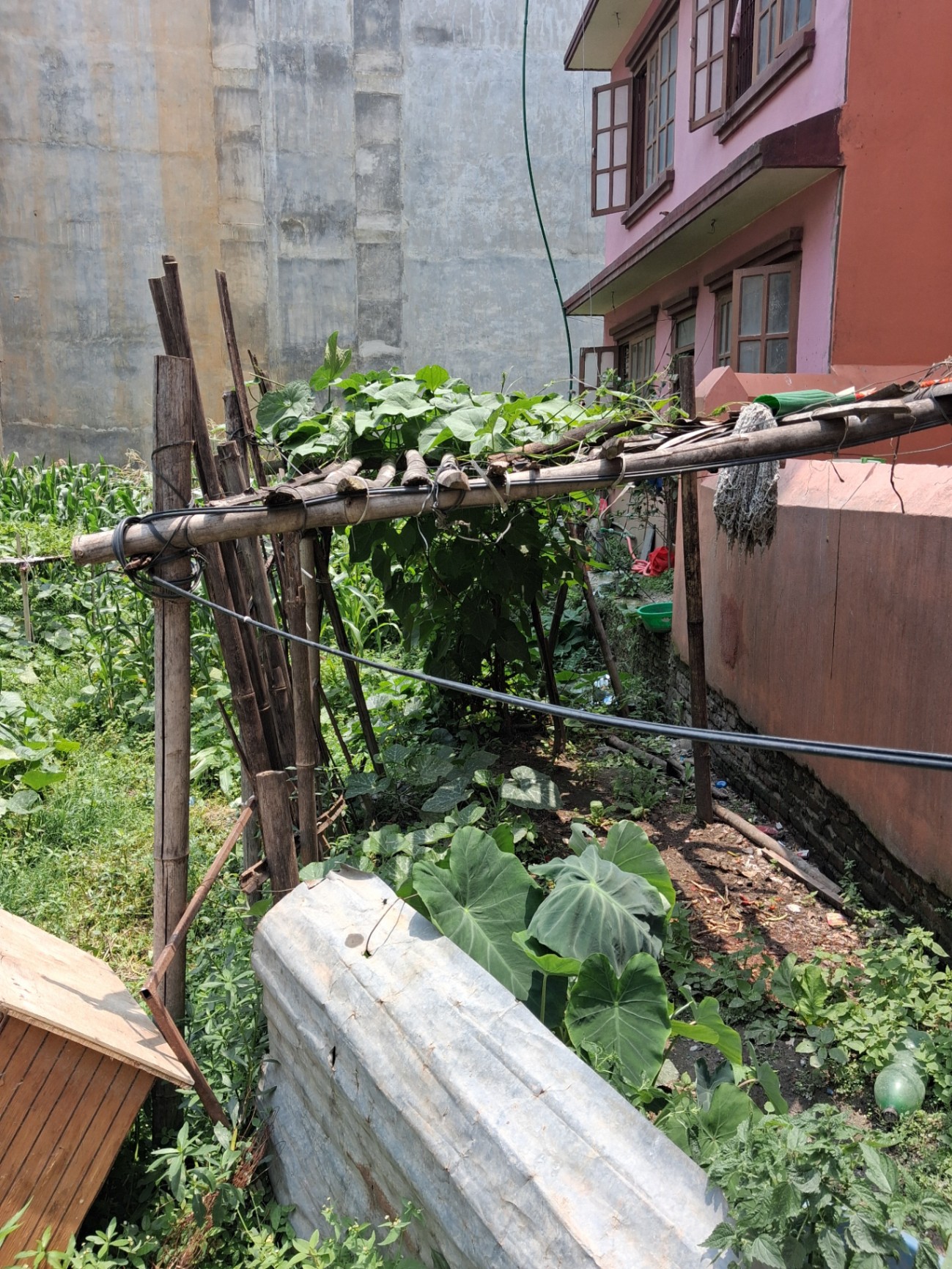 #SS1841 Residential Land on sell at Nepaltar, Tarakeshwar
