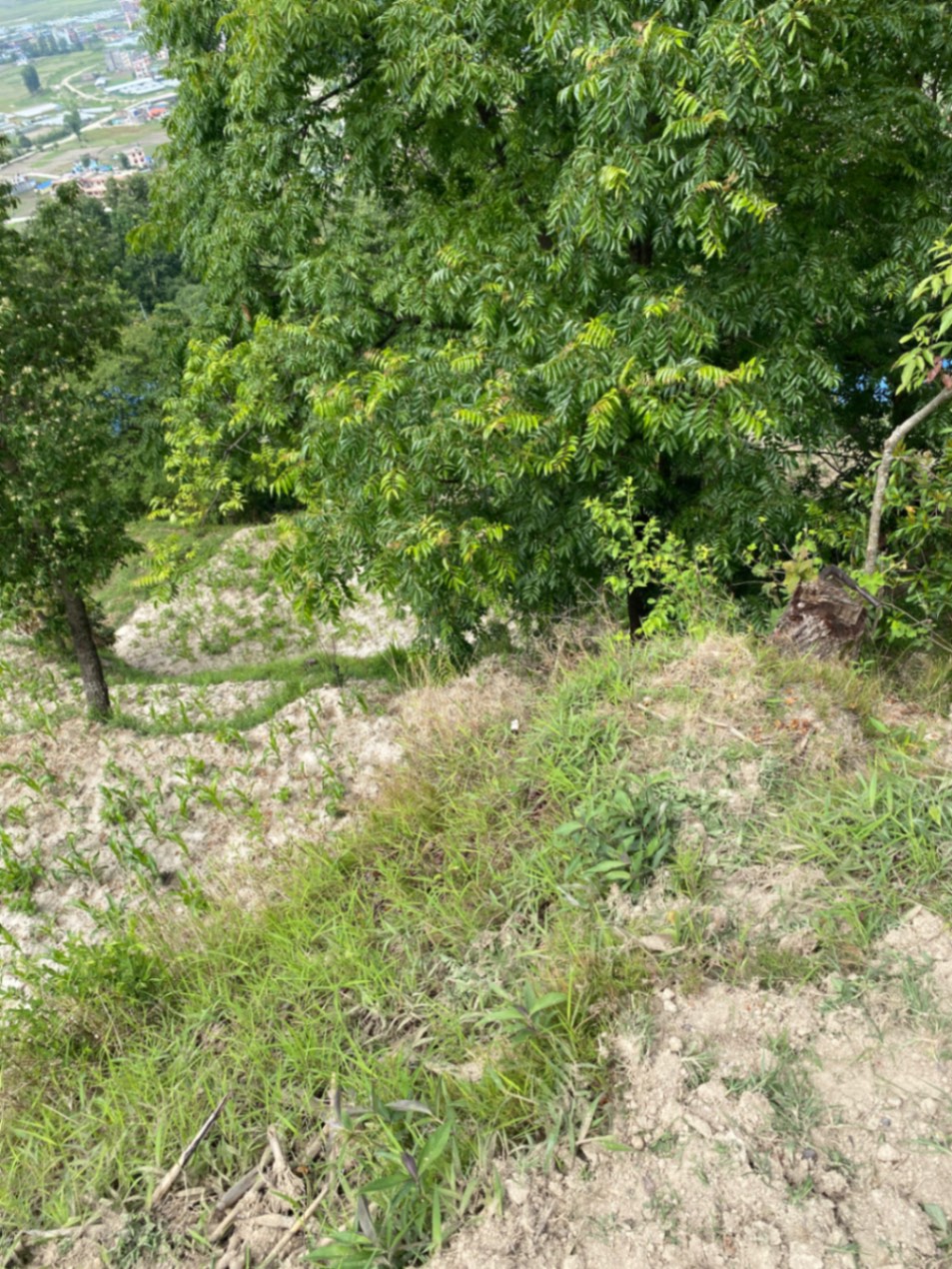 #SS1919 Residential Land on sell at Sankhu, Shankharapur