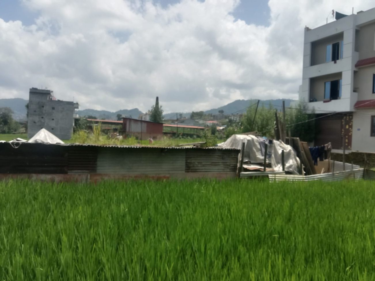 #SS2461 Residential Land on sell at Chittapol, Suryabinayak