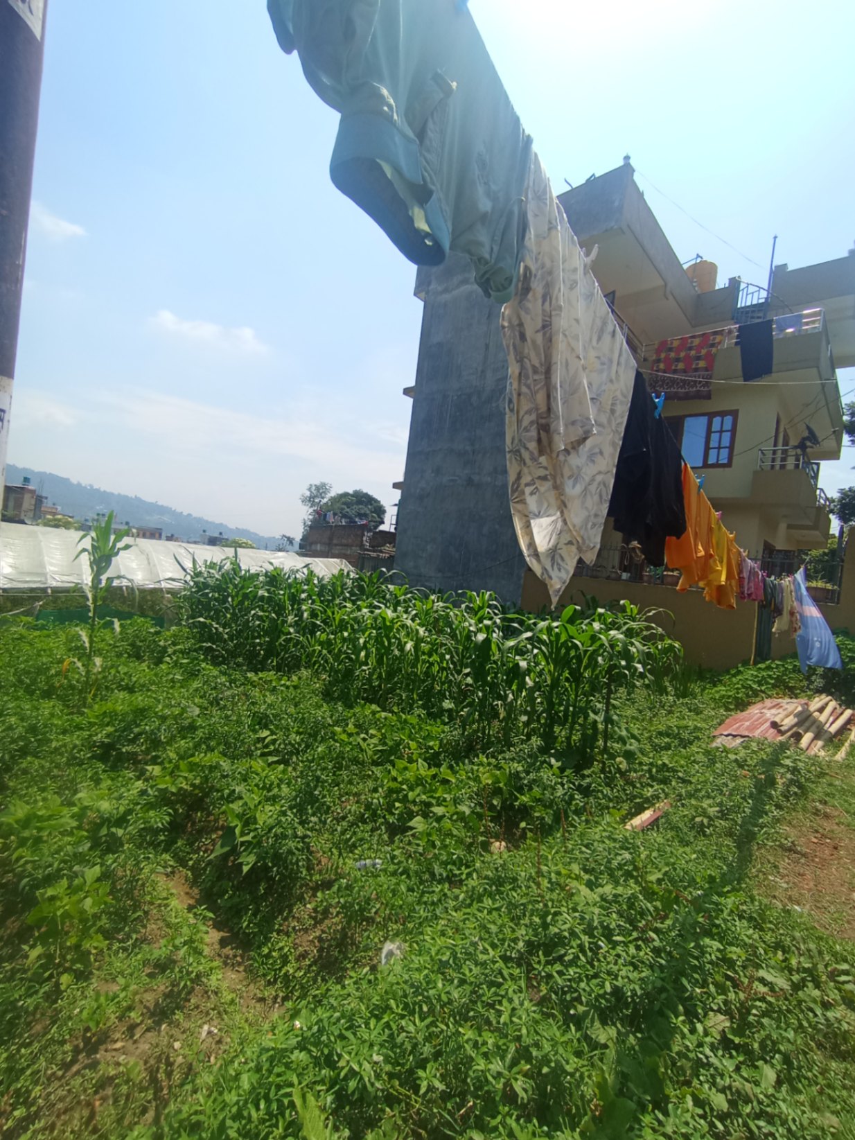 #SS2094 Residential Land on sell at Dauradipo, Chandragiri