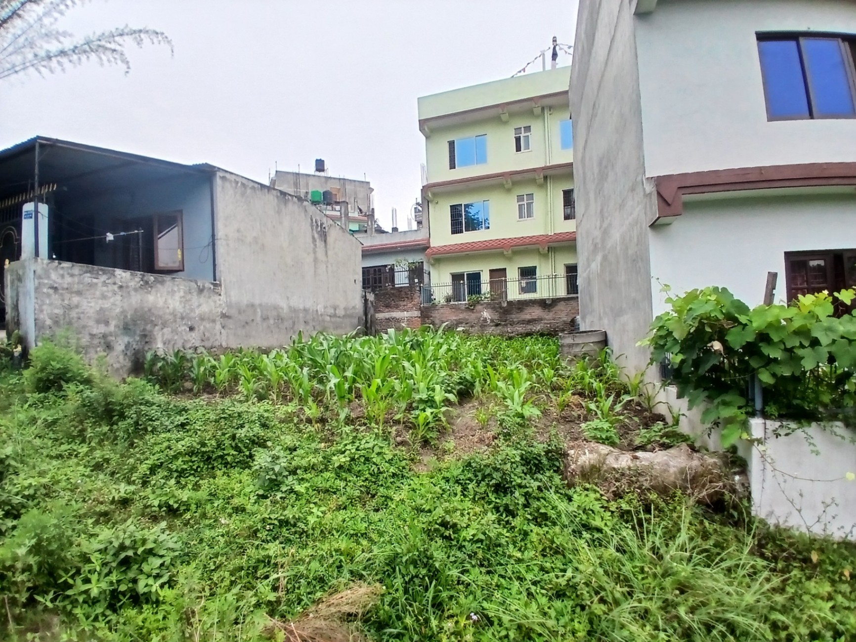 #SS1880 Residential Land on sell at Thali simkhada gaum, Kageshwari-Manohara