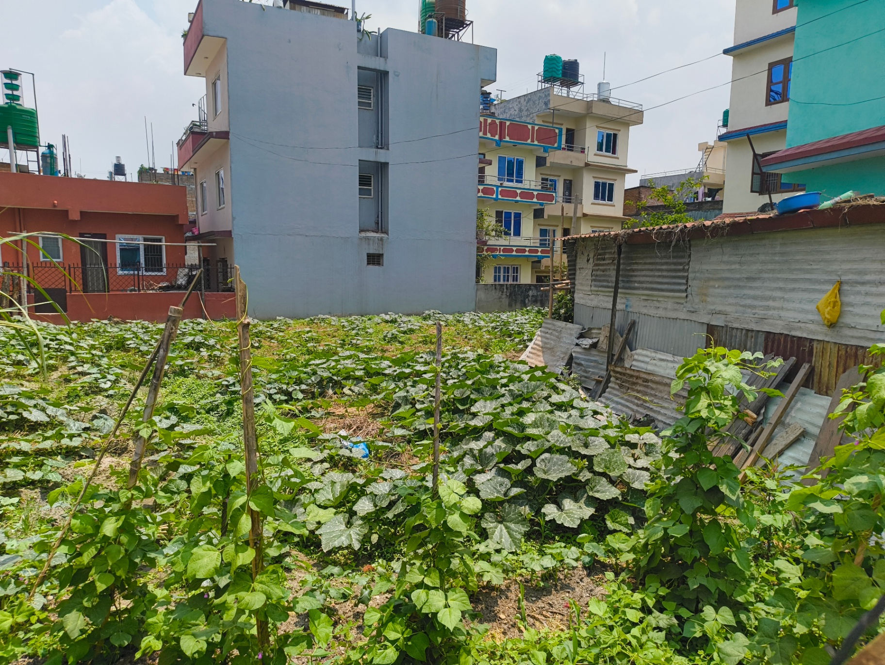 #SS1717 Semi-commericial Land on sell at Mulpani, Kageshwari-Manohara