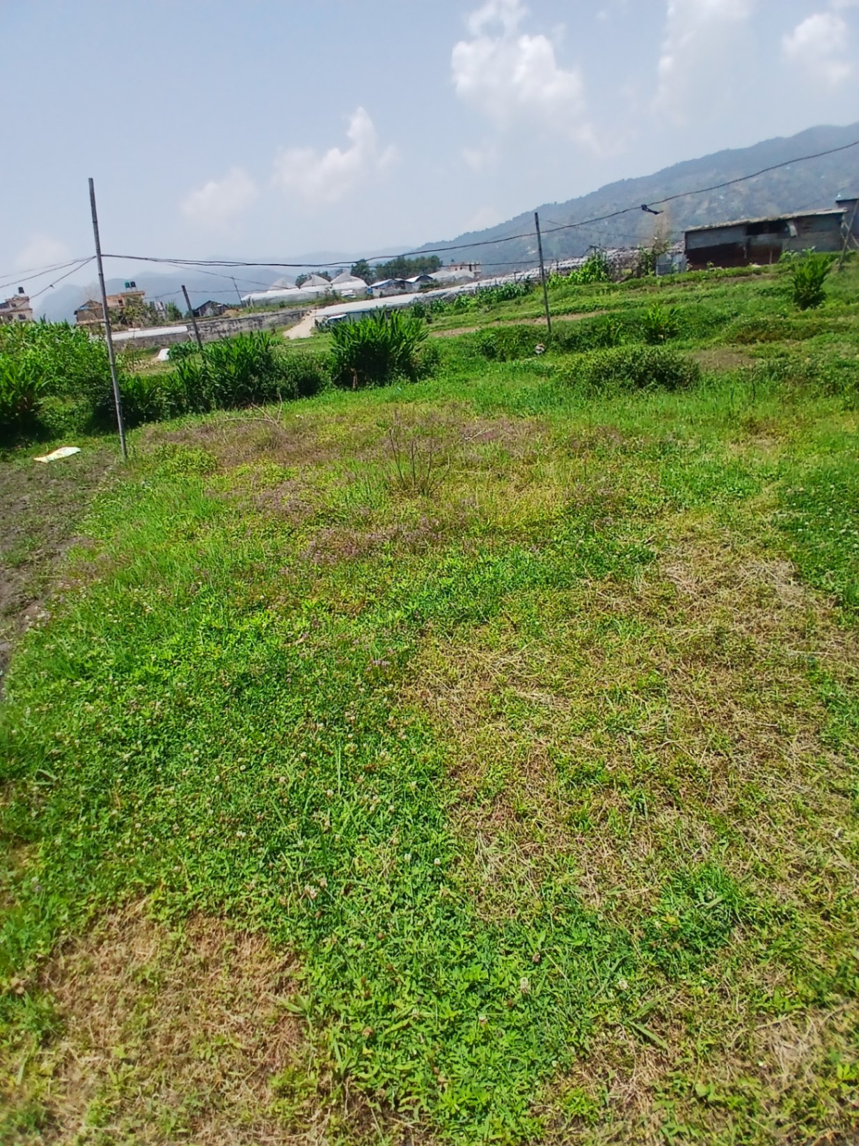 #SS1845 Residential Land on sell at Indrayani, Shankharapur