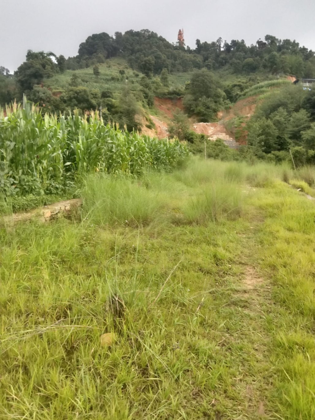 #SS2312 Residential Land on sell at Chittapol, Suryabinayak