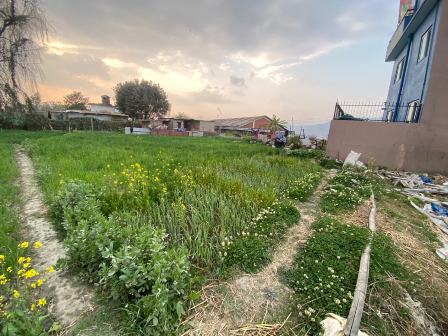 #SS1332 Residential Land on sell at chhaling, Changunarayan