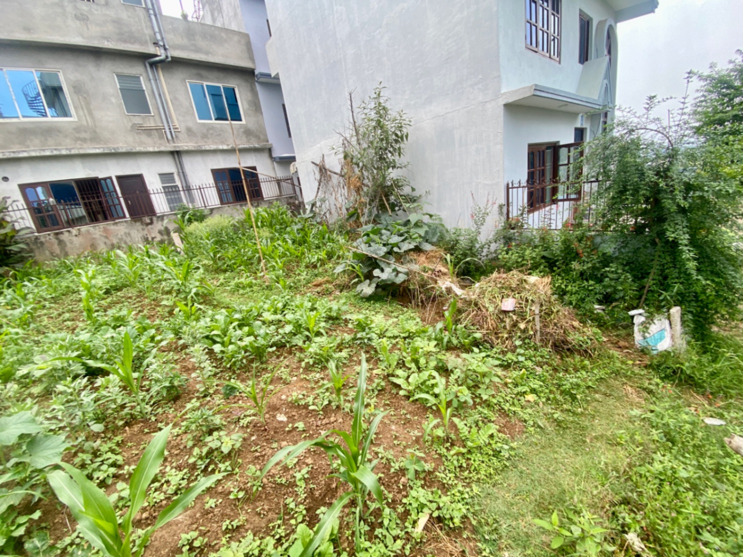 #SS2077 Residential Land on sell at Katunje, Suryabinayak