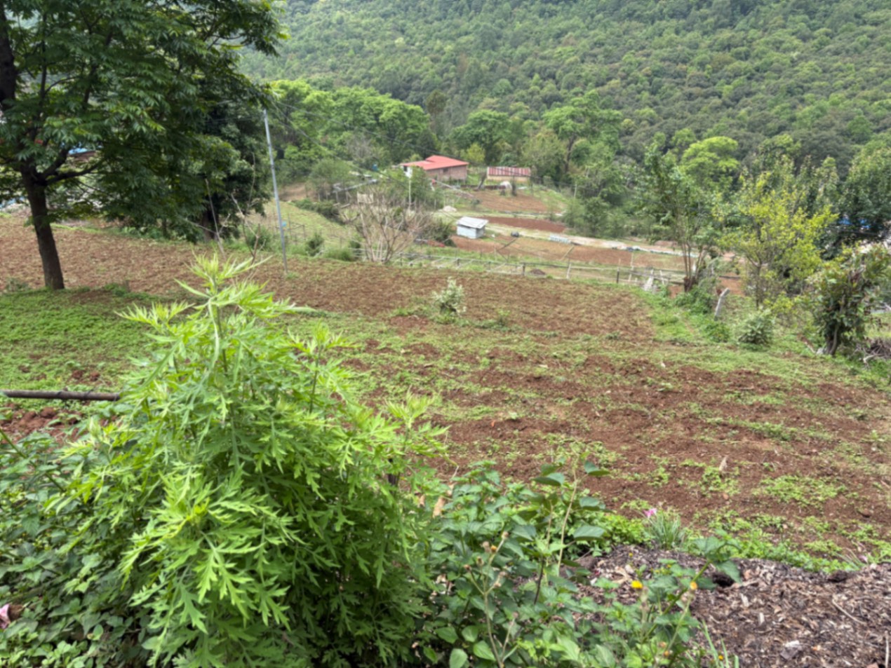 #SS1668 Commercial Land on sell at Dollu, Dakshinkali