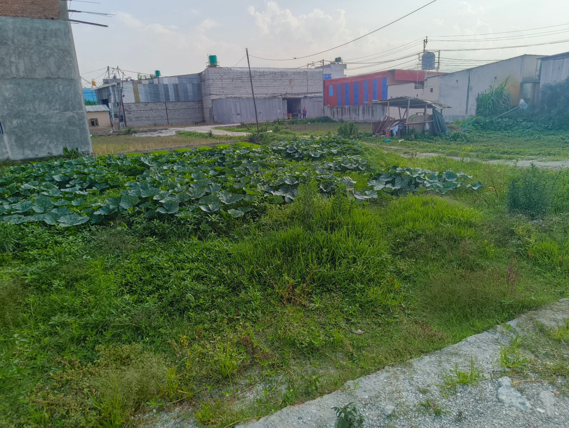 #SS1918 Residential Land on sell at Mulpani poplbot , Kageshwari-Manohara