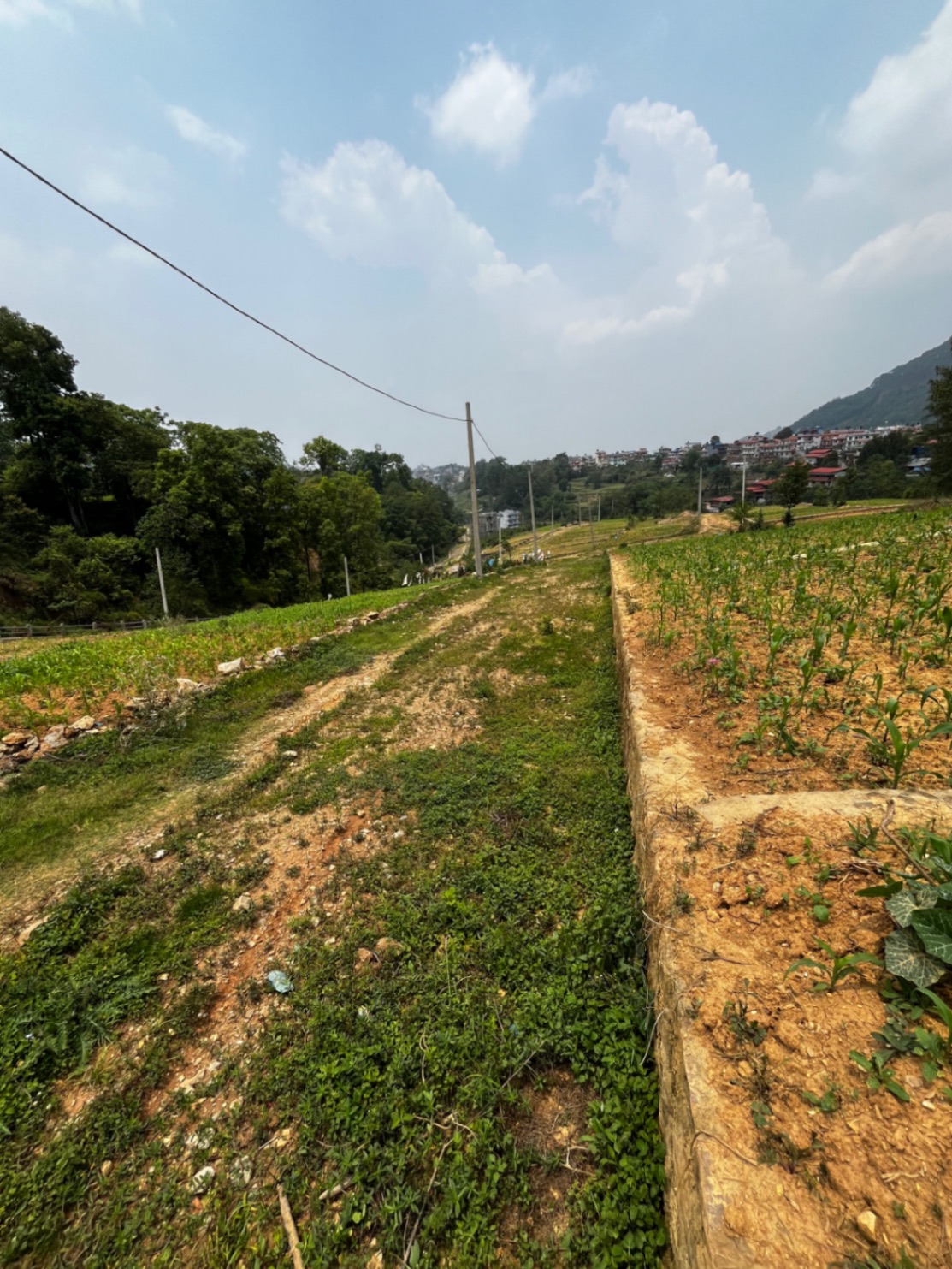 #SS1784 Residential Land on sell at Godawari, Godawari