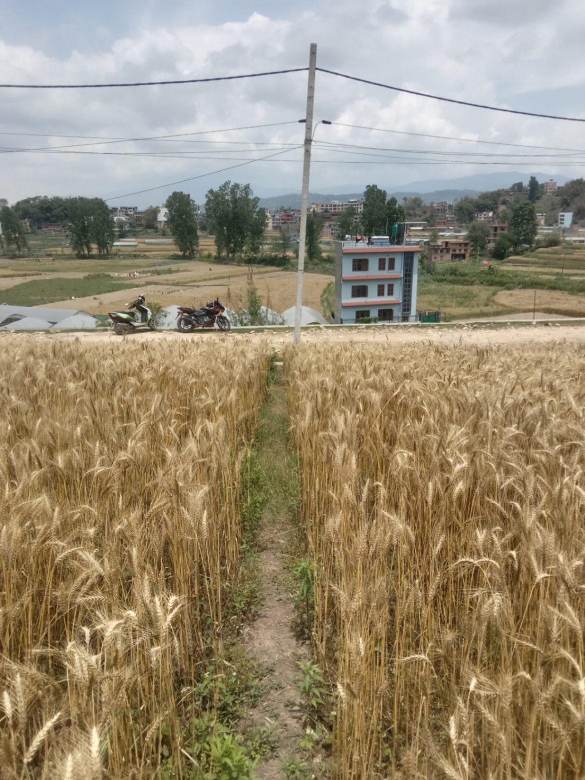 #SS1547 Plotting Land on sell at Chittapol, Suryabinayak