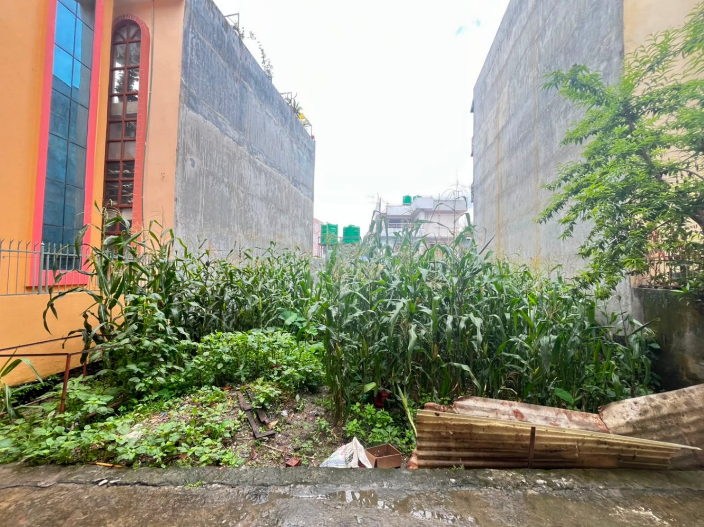 #SS2238 Residential Land on sell at Dhaneshowr, Tokha