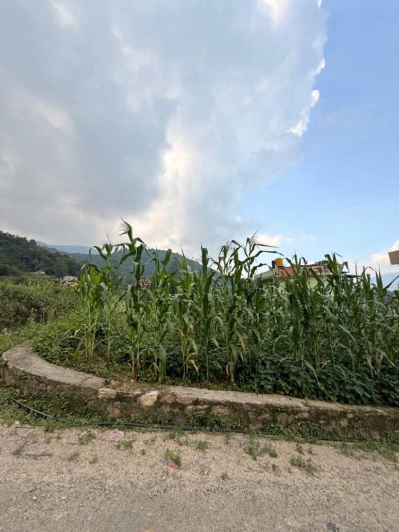 #SS2167 Residential Land on sell at Machhe Gaun, Chandragiri