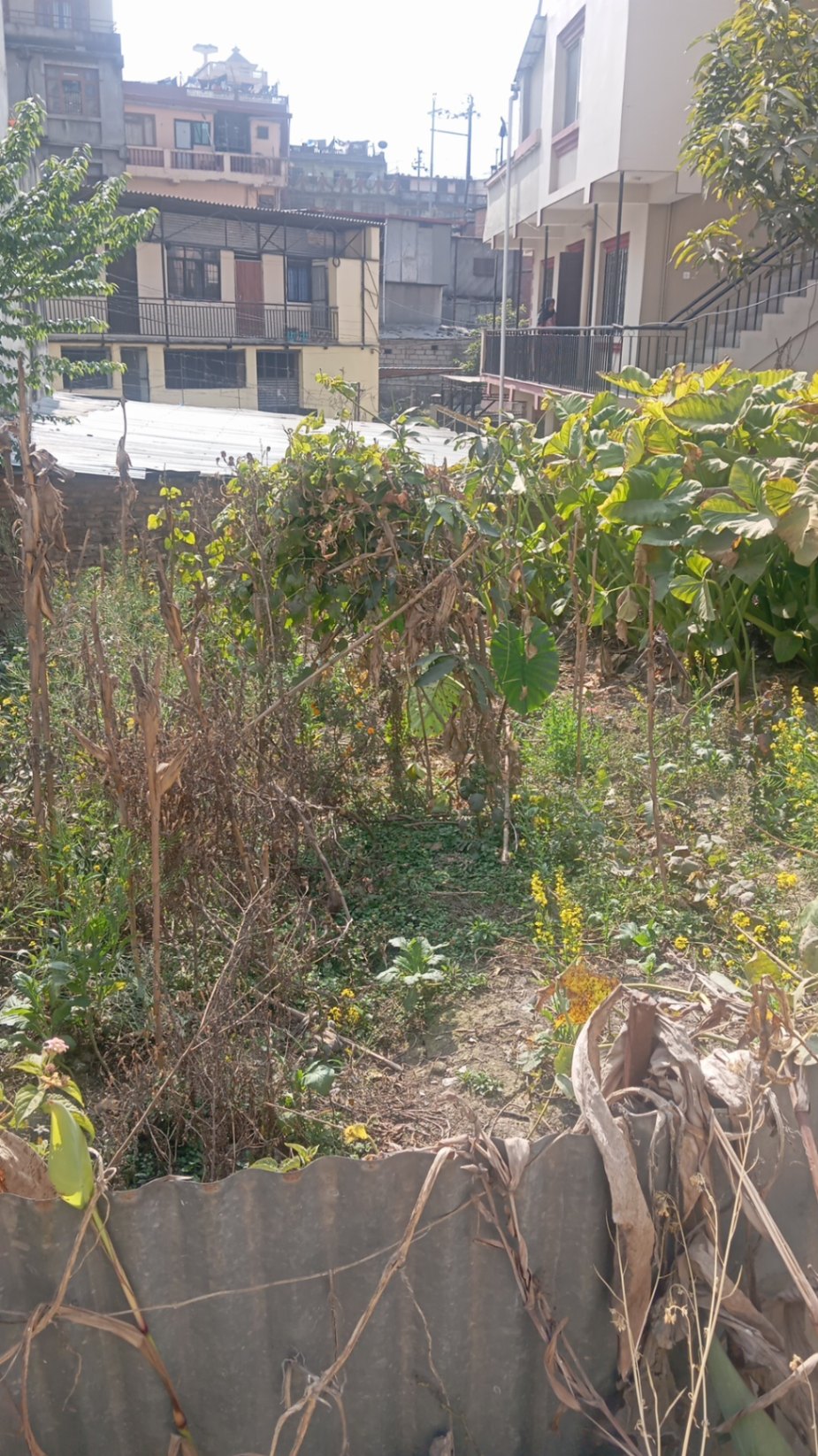 #SS1130 Residential Land on sell at Balambu, Chandragiri