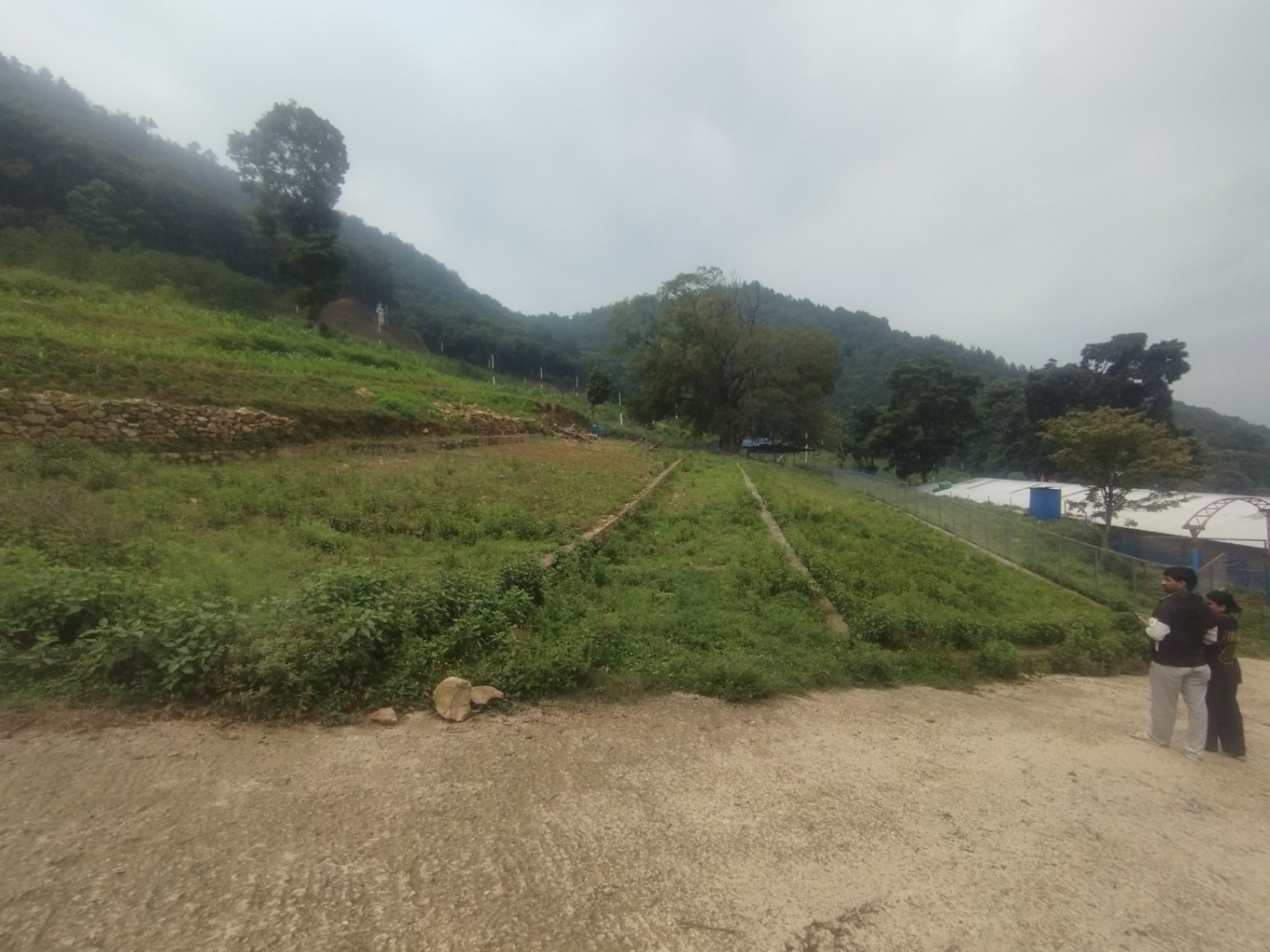 #SS2118 Plotting Land on sell at Lamatar sisneri, Mahalaxmi