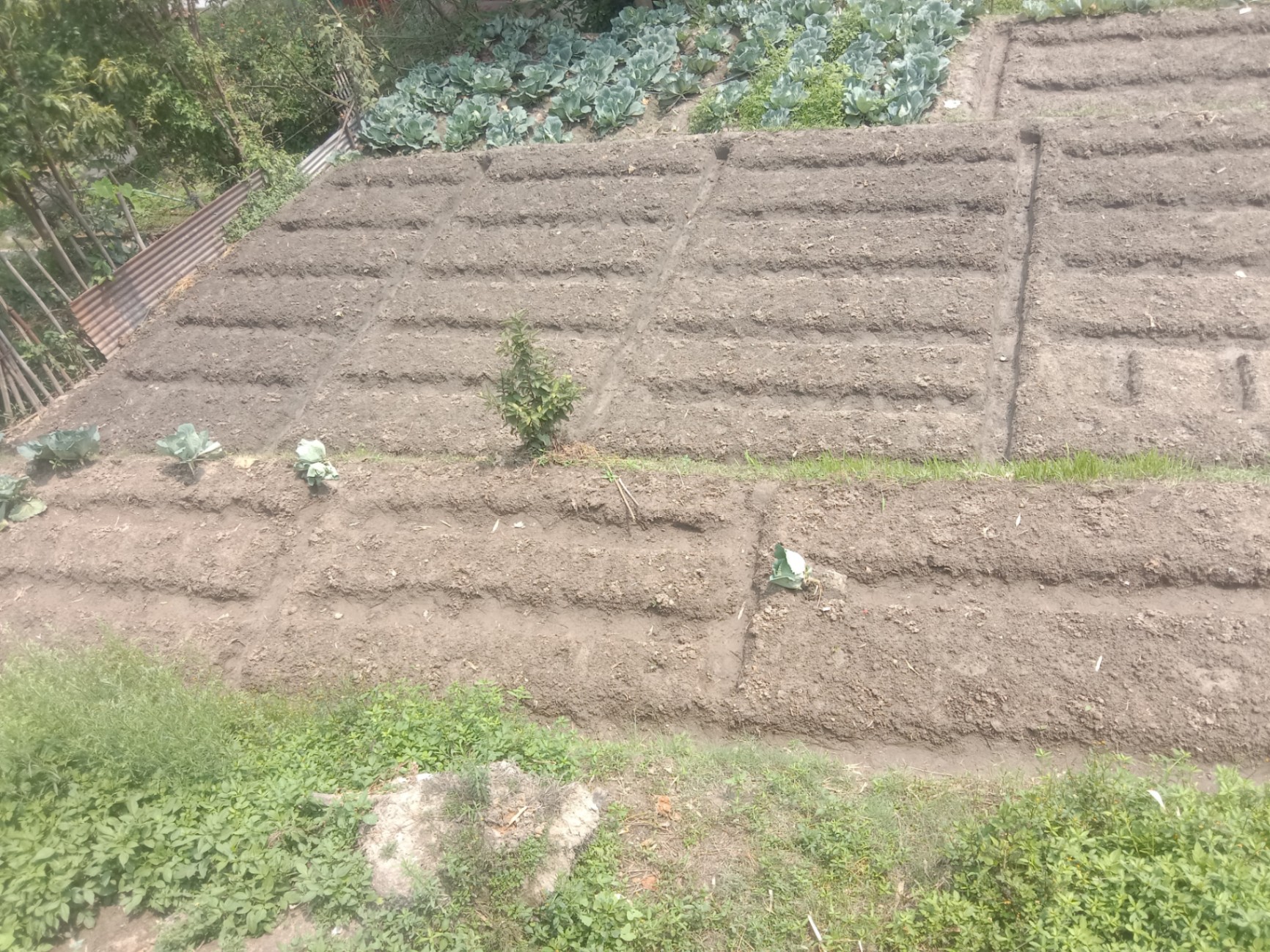 #SS1794 Residential Land on sell at Nakhel, Suryabinayak