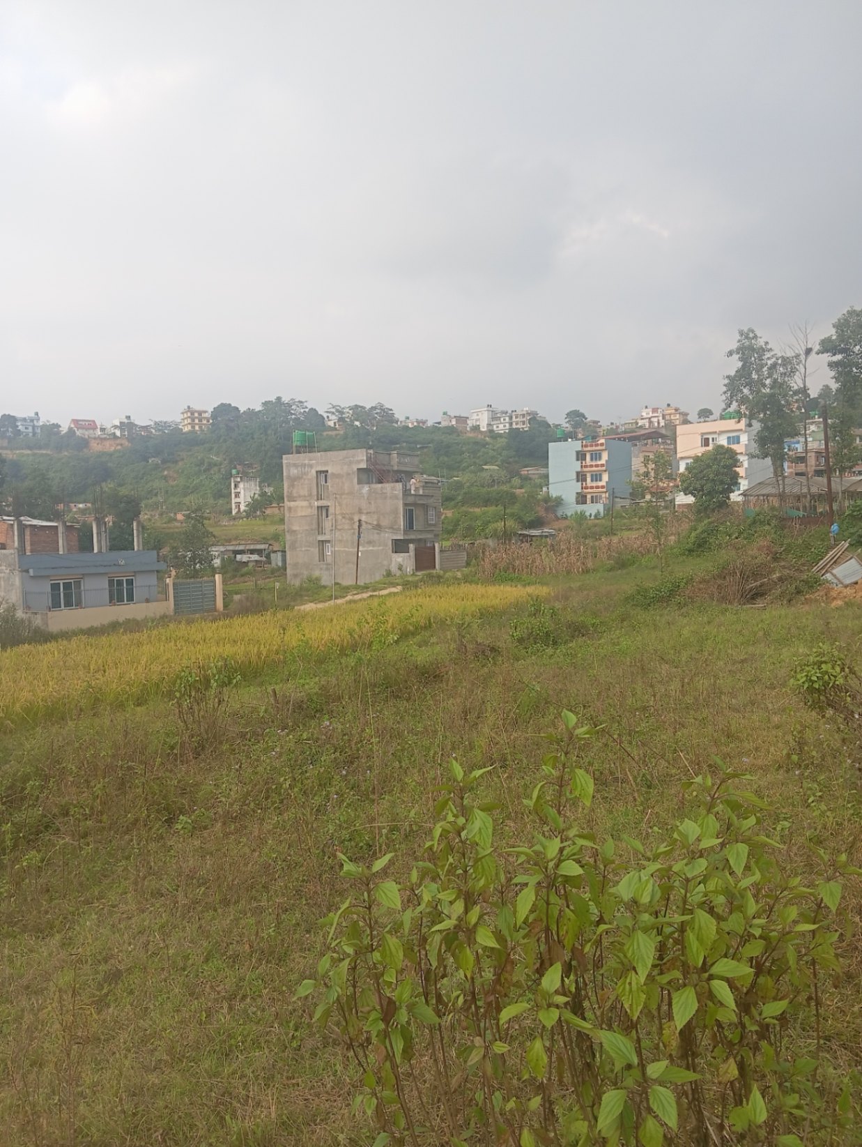 #SS2798 Residential Land on sell at Thecho, Godawari