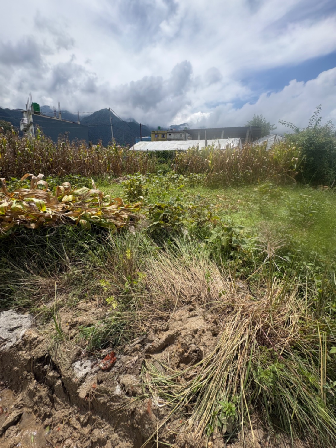 #SS2530 Residential Land on sell at Thankot, Chandragiri