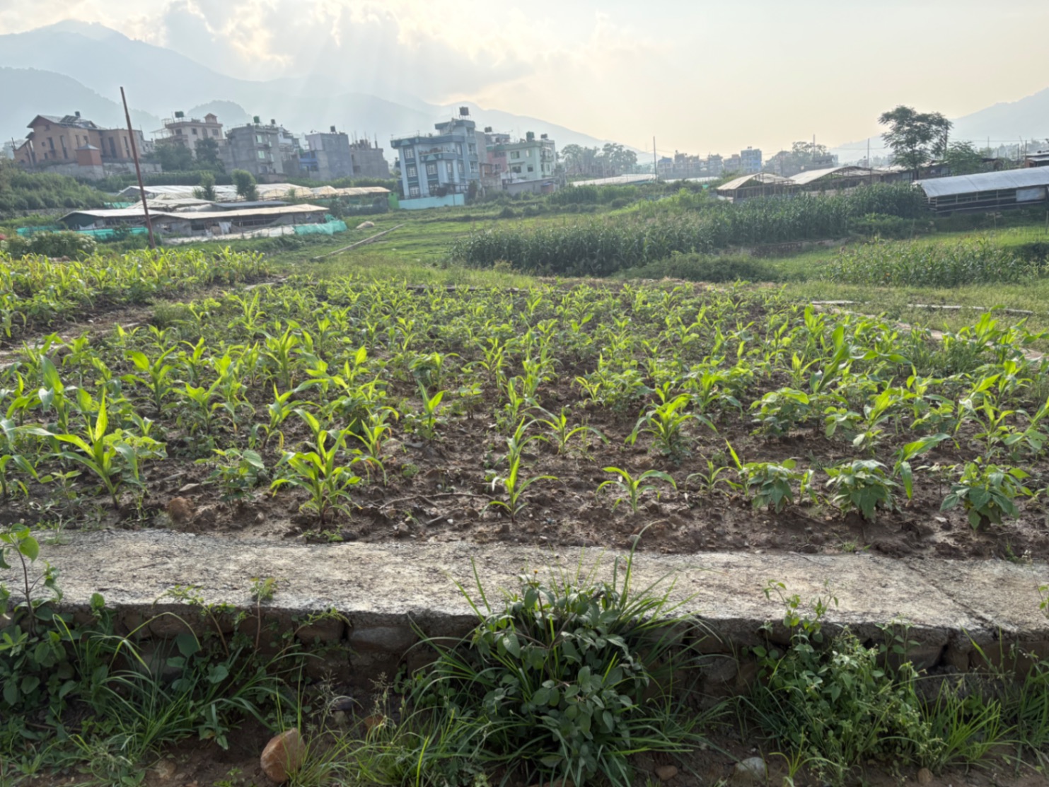 #SS2157 Residential Land on sell at Machhegaun, Kirtipur