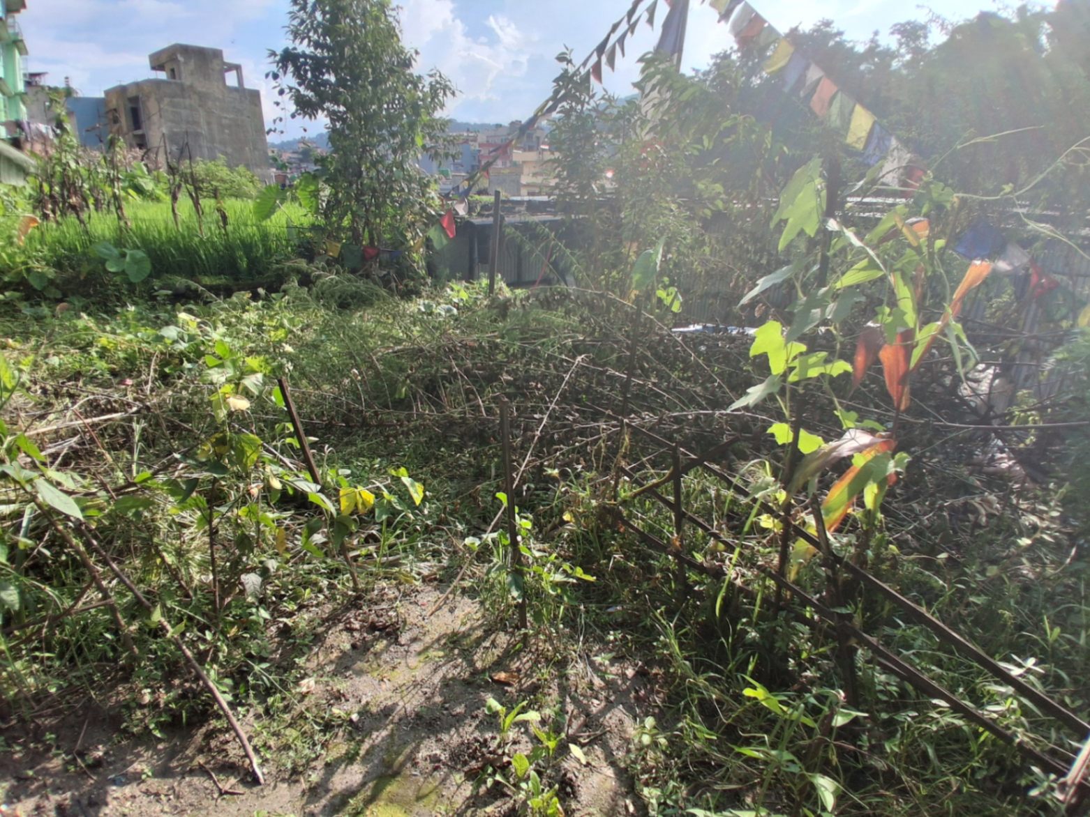 #SS2522 Residential Land on sell at mana maiju, Tarakeshwar
