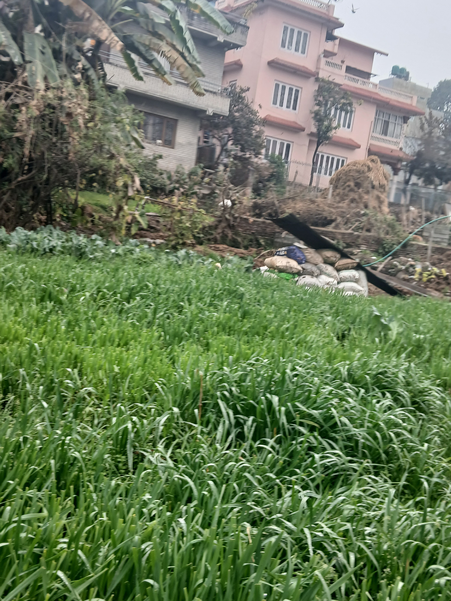 #SS1070 Residential Land on sell at Bhatkekopool, Kathmandu