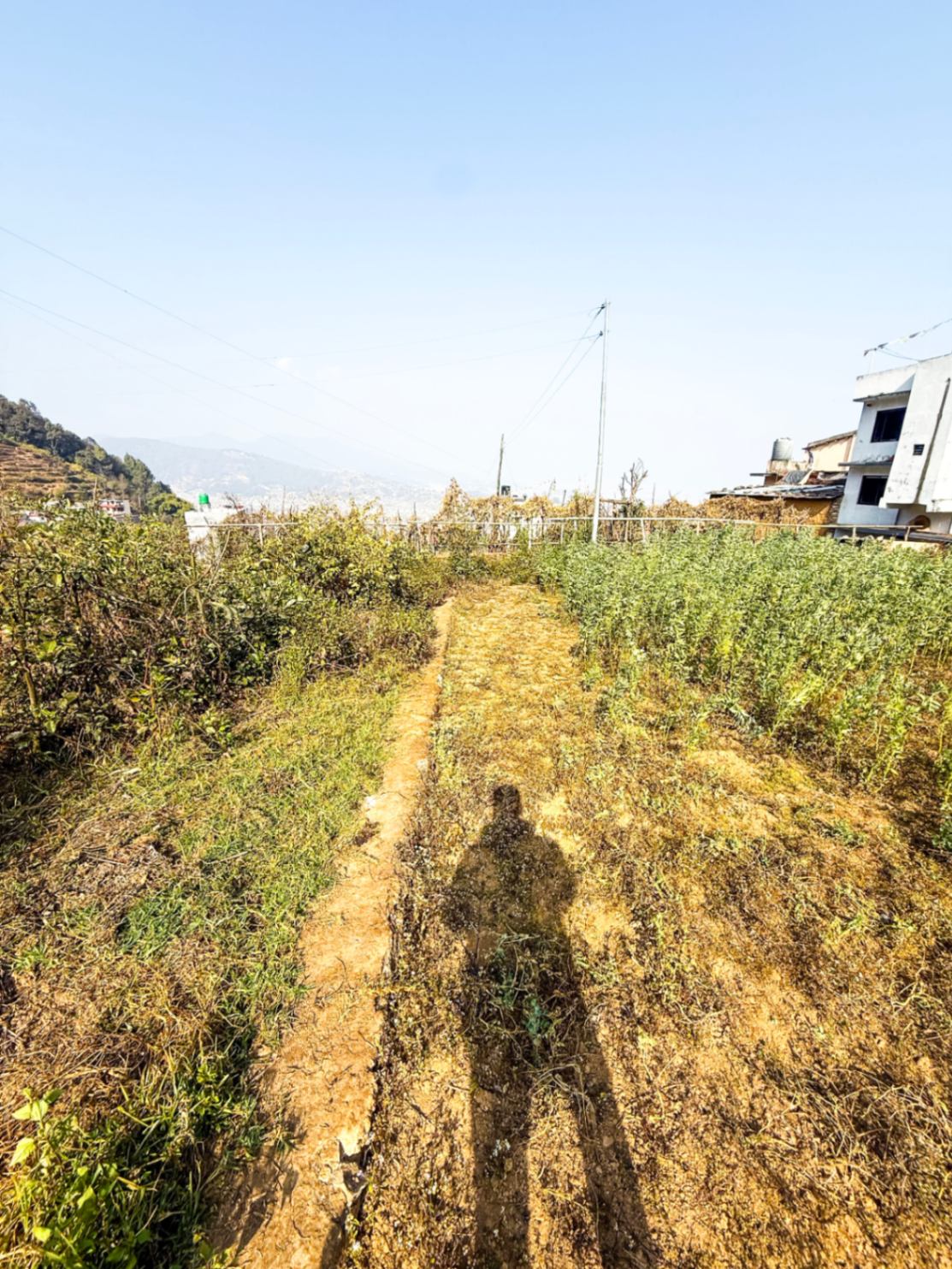 #SS1119 Residential Land on sell at Matatirtha, Chandragiri
